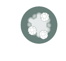 免疫肾脏类器官